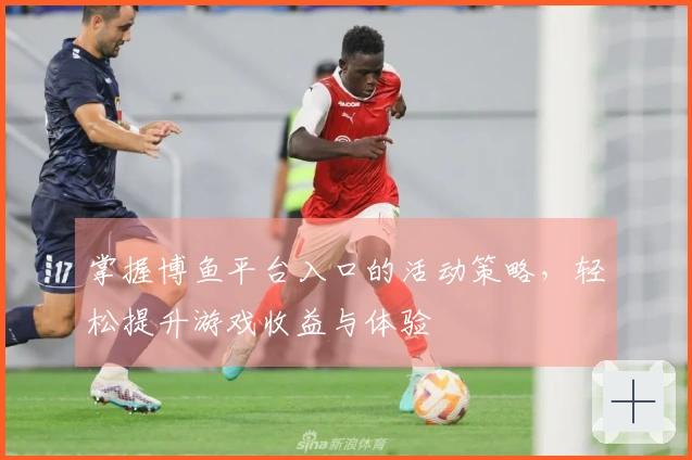 掌握博鱼平台入口的活动策略，轻松提升游戏收益与体验