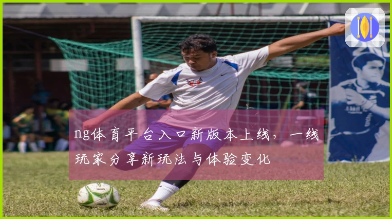 ng体育平台入口新版本上线，一线玩家分享新玩法与体验变化